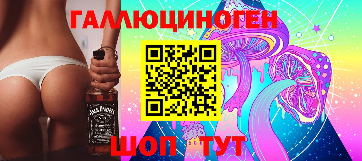 Псилоцибиновые грибы Cubensis  Вход с VPN  Кизилюрт 