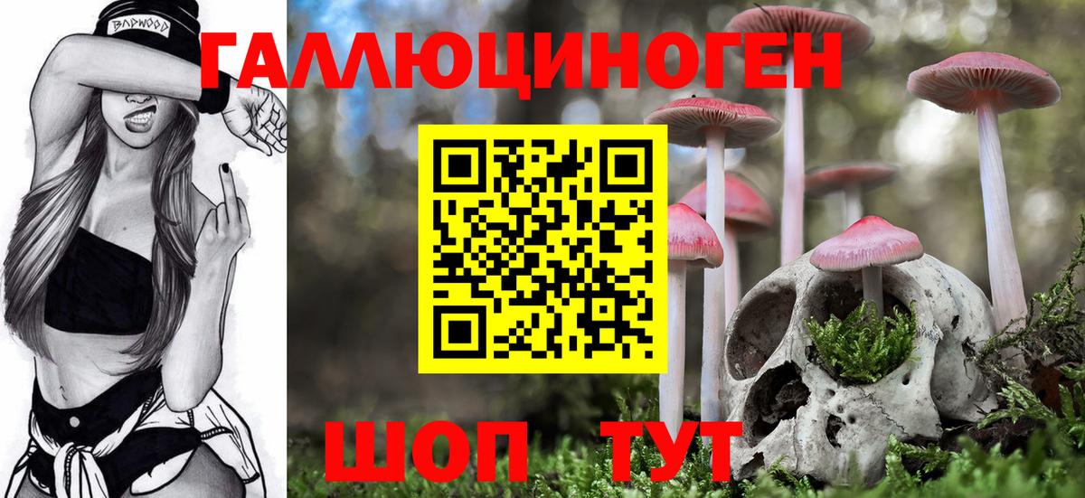 Галлюциногенные грибы мицелий Кизилюрт